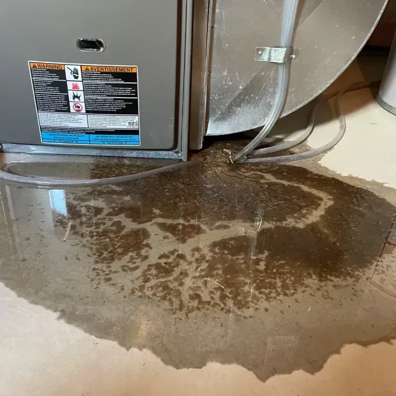 Appliance Leak Cleanup in Hunterdon County, NJ